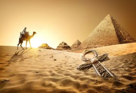Фотообои Верблюд в Египте