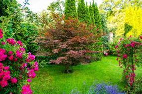 Фотообои Красочный сад