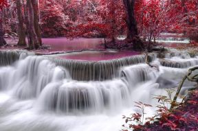 Фотообои Водопад в розовом лесу