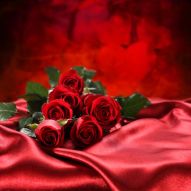 Фотообои красные розы на ткани