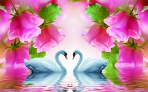 Фотообои Лебеди и розы