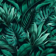 Фреска тропические растения