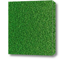 Картина Зеленая трава текстура