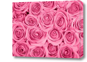 Картина Пышный букет розовых роз