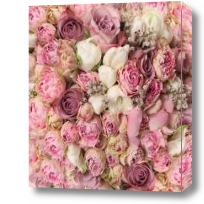 Картина Пионовидные розовые розы