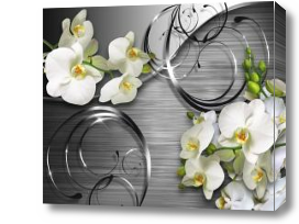 Картина 3д Белые орхидеи